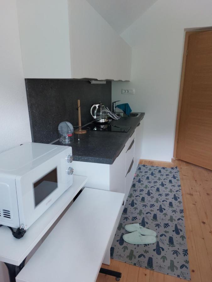 Apartma Sava-Stol 耶塞尼采 外观 照片