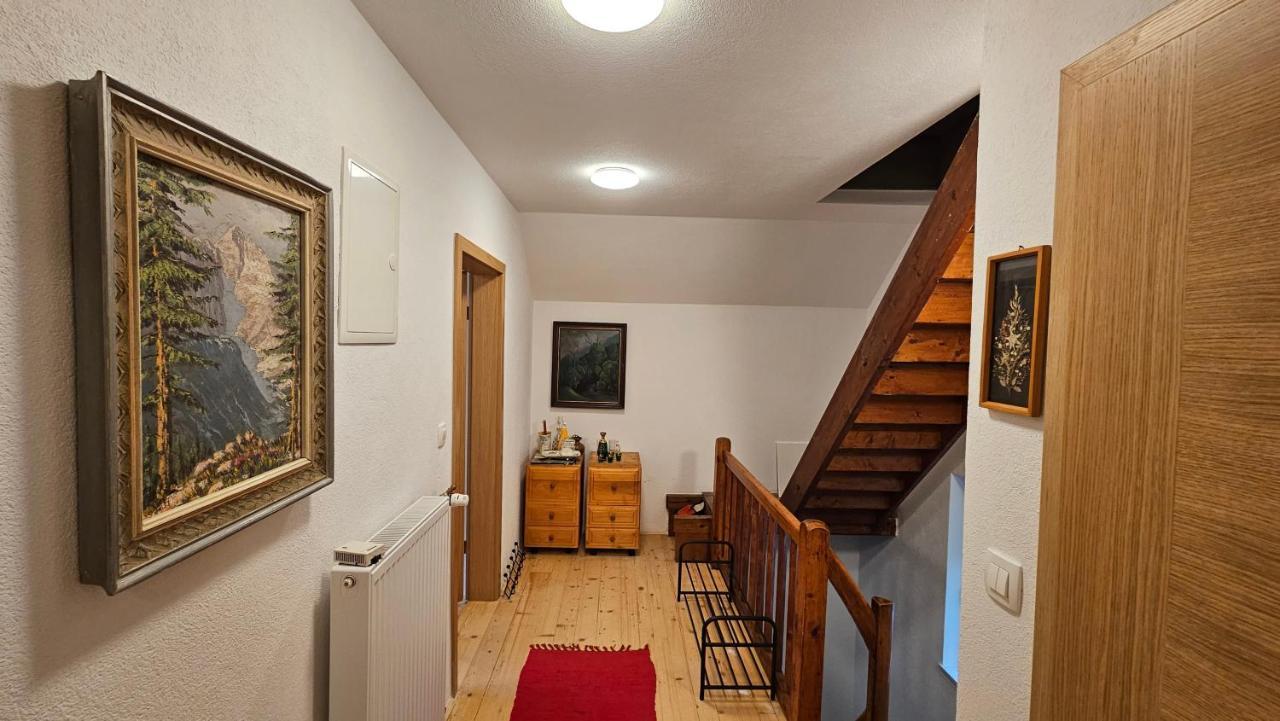 Apartma Sava-Stol 耶塞尼采 外观 照片