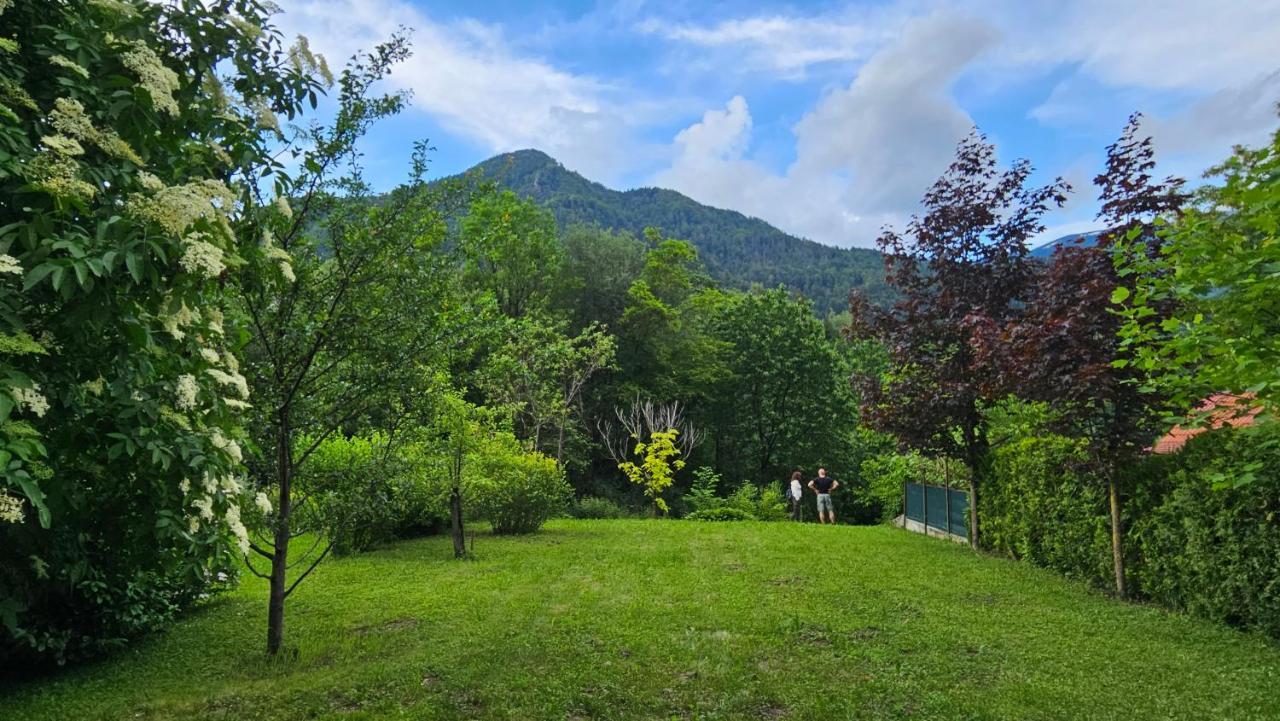 Apartma Sava-Stol 耶塞尼采 外观 照片