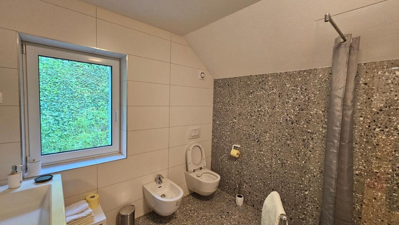 Apartma Sava-Stol 耶塞尼采 外观 照片