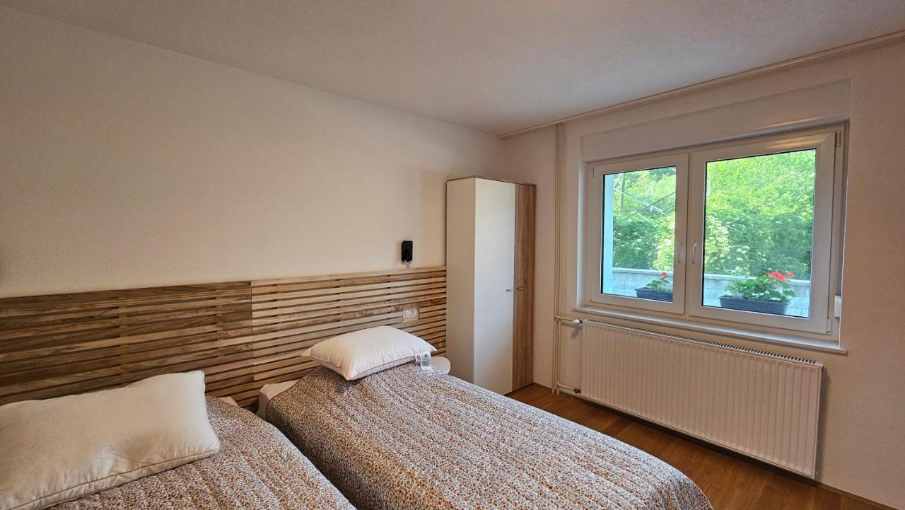 Apartma Sava-Stol 耶塞尼采 外观 照片